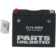 Load image into Gallery viewer, PARTS UNLIMITED BATTERIES CT12B-4  FACTORY ACTIVATED PC CT12B-4