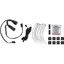 Load image into Gallery viewer, CUSTOM DYNAMICS LIGHT DUAL SBAG HNGE SM/C (PR) CD-SBL-DC4-SC