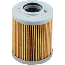 Load image into Gallery viewer, EMGO OIL FILTER APRILLA 10-26954