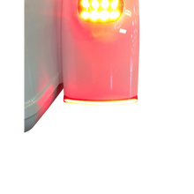 Load image into Gallery viewer, CUSTOM DYNAMICS LIGHT FENDER LEDRED TRIGL CD-TGFENDER-R