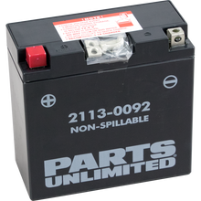 Load image into Gallery viewer, PARTS UNLIMITED BATTERIES CT14B-4 FACTORY ACTIVATED PC CT14B-4