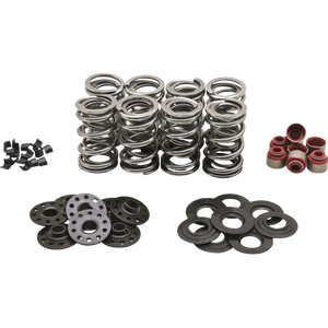KIBBLEWHITE SPRING KT DUAL M8 .630 S  KT 20-23850