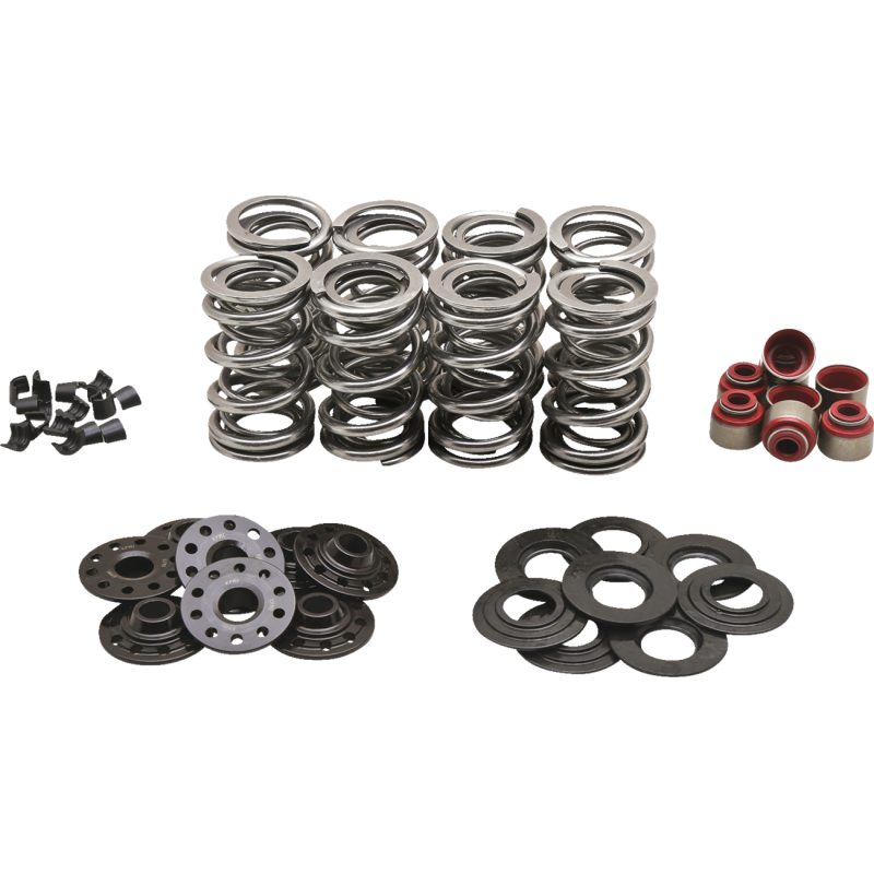 KIBBLEWHITE SPRING KT DUAL M8 .630 S  KT 20-23850