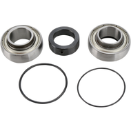 ALL BALLS CHAIN CASE BEARING & SEAL KIT 14-1008 - Motomike Canada