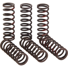 Load image into Gallery viewer, PRO CIRCUIT CLUTCH SPRING CRF450R CSH21450-CS