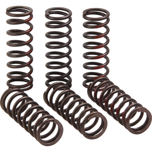 PRO CIRCUIT CLUTCH SPRING CRF450R CSH21450-CS