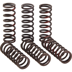 PRO CIRCUIT CLUTCH SPRING CRF450R CSH21450-CS