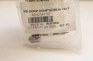 NOS OEM CAN-AM 420256170 VALVE PIN SCREW (711256170) DS 650 CRANKCASE - Like New
