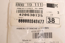 Load image into Gallery viewer, Genuine Ski-Doo V-Ring expedition v1300 v1000 4 tec Legend ++  | 420630125 - Like New