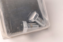 Load image into Gallery viewer, Genuine Yamaha STR-YCS00-55 M10 Chrome Screw Bolt Hex 20mm - Star Motorcycles