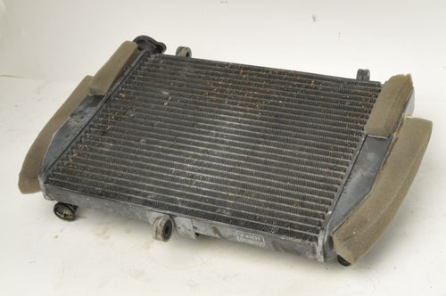 Yamaha YZF-R6 OEM Radiator Rad Assembly nice!  1999-2002 | 5EB-12461-00 - Very Good