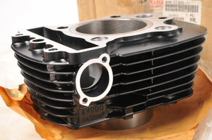 Genuine Yamaha 4VR-11320-11-00 FRONT Cylinder, Jug V-Star 650 1998-2003 XVS650