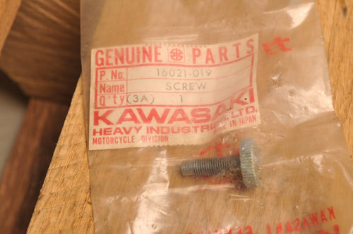 NOS OEM KAWASAKI 16021-019 SCREW,THROTTLE STOP Z1 1973-74-75 - Like New
