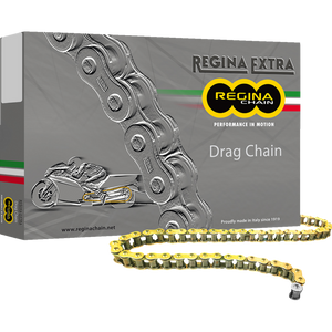REGINA REGINA 530 DR CHAIN 140 LINKS 1121-0106 136DR/1004