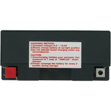 Load image into Gallery viewer, PARTS UNLIMITED BATTERIES CT9B-4 FACTORY ACTIVATED PC CT9B-4 - Motomike Canada