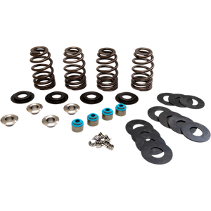 FEULING OIL PUMP CORP. VALVE SPRINGS ECONO TC 1123
