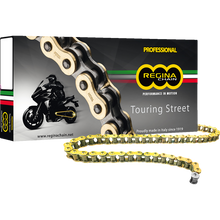 Load image into Gallery viewer, REGINA REGINA 530 RT CHAIN 110 LINKS 136RT/1006