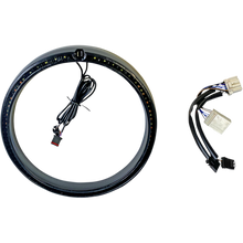 Load image into Gallery viewer, CUSTOM DYNAMICS TRIM RING BLK STD TSGNAL PB-7TR-AW-3B