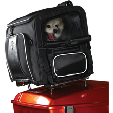 Load image into Gallery viewer, NELSON-RIGG PET CARRIER ROUTE 1 ROVER NR-240