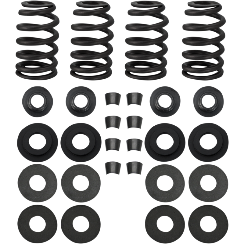 S&S CYCLE SPRINGS.585