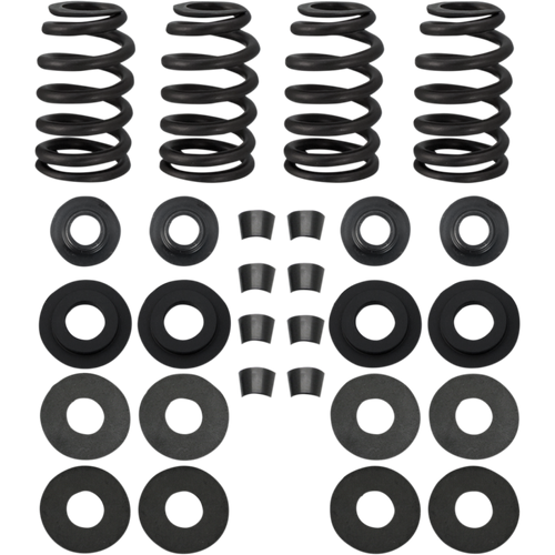 S&S CYCLE SPRINGS.585