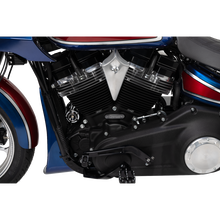 Load image into Gallery viewer, Thrashin Shifter Lever, Black