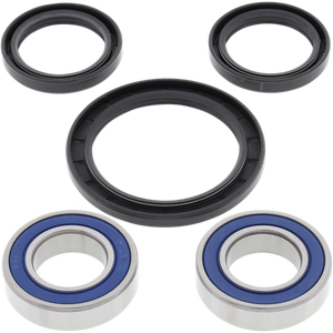 ALL BALLS Wheel Bearing and Seal Kit 25-1584