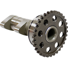 Load image into Gallery viewer, HOT CAMS CAMSHAFT INTAKE YAMAHA HC00125