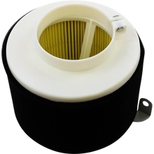 Load image into Gallery viewer, ALL BALLS AIR FILTER KAWASAKI 48-1013