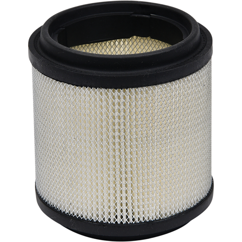 ALL BALLS AIR FILTER POLARIS 48-1022