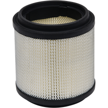 Load image into Gallery viewer, ALL BALLS AIR FILTER POLARIS 48-1022