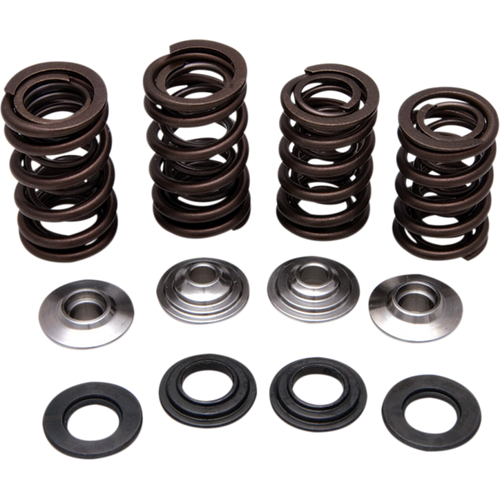 KIBBLEWHITE SPRING KIT 06-08 TRX450R 30-30920