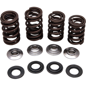 KIBBLEWHITE SPRING KIT 06-08 TRX450R 30-30920