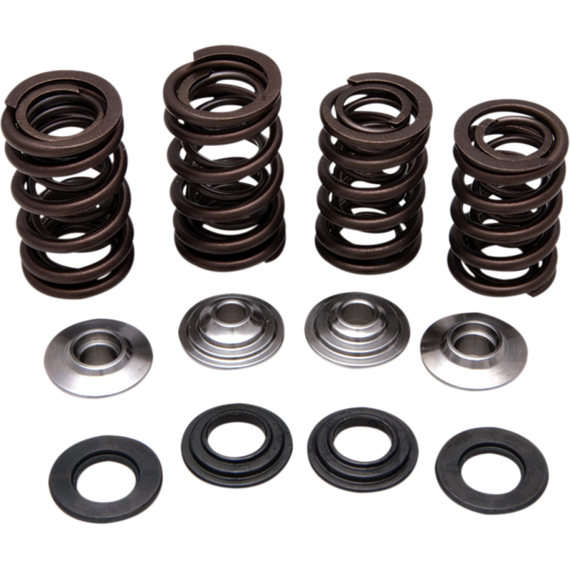 KIBBLEWHITE SPRING KIT 06-08 TRX450R 30-30920