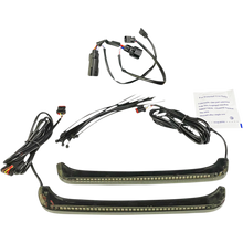 Load image into Gallery viewer, CUSTOM DYNAMICS LIGHT LWDUAL BAGZ SMKLENS CD-LPDC-BCM4-S