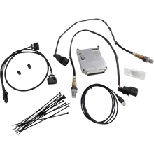 Load image into Gallery viewer, THUNDER HEART PERFORMANCE 01-10 B/T/07-09XL T/MAX ECM AUTOTUNE MOD 309-460