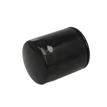 Load image into Gallery viewer, Hiflofiltro - Oil Filter (Chrome) HF171B PU