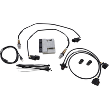 Load image into Gallery viewer, THUNDER HEART PERFORMANCE 17-19 TOURING MODELS CONTROLLER 309-588