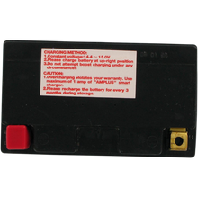 Load image into Gallery viewer, PARTS UNLIMITED BATTERIES CTZ12S FACTORY ACTIVATED PC CTZ12S