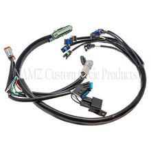 Load image into Gallery viewer, NAMZ HARNESS EFI02-05 70233-02 NHD-70233-02