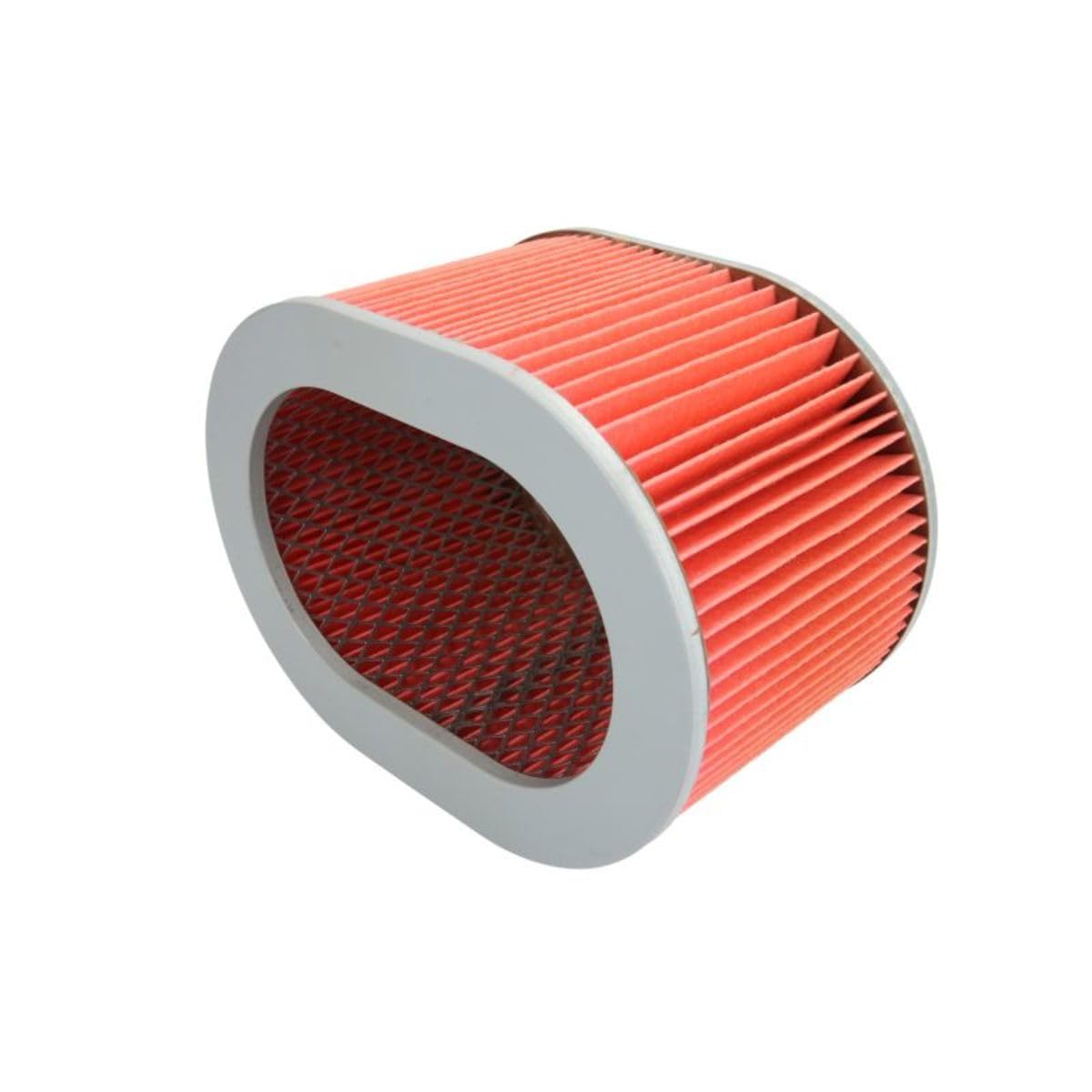 Hiflofiltro HFA1905 Premium OE Replacement Air Filter