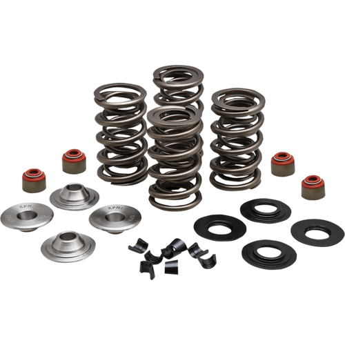 KIBBLEWHITE SPRING KIT 05-17 TC/XL 20-23550
