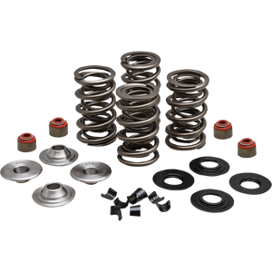 KIBBLEWHITE SPRING KIT 05-17 TC/XL 20-23550