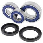 ALL BALLS REAR WHEEL BEARING & SEAL KIT 25-1703