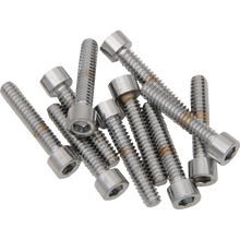 Load image into Gallery viewer, DRAG SPECIALTIES 10-24X11/4" SMOOTH CHR SKT HD (10) MPB196S