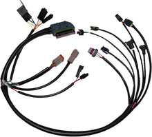 Load image into Gallery viewer, NAMZ HARNESS EFI02-05 70233-02 NHD-70233-02