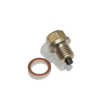 Load image into Gallery viewer, SHOW CHROME M12 X 1.5 MAGNETIC DRAIN PLUG 5-302