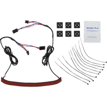 Load image into Gallery viewer, CUSTOM DYNAMICS TAILIGHT LED W/TSIGNAL RD CD-FATBOY-R