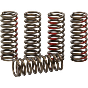 PRO CIRCUIT 2018 CRF250 CLUTCH SPRINGS CSH18250-CS