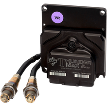 Load image into Gallery viewer, THUNDER HEART PERFORMANCE 02-17 V-ROD THUNDERMAX EFI ECM UNIT 309-466